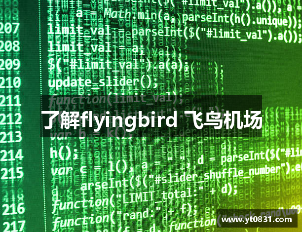 飞鸟加速器中国大陆官方网站｜飞鸟加速器